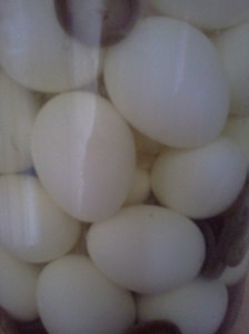 is andrew pearce breeding snakes?