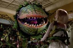 little shop of horrors is a movie/play/movie about audrey II, a carnivorous plant cared for by a florist assistant seymour who named the audrey II in honor of his true love audrey.  audrey is terrorized by the abusive boyfriend orin but finds the courage to leave--because there's "suddenly seymour" the most popular song from this show is "suddenly seymour" which i can't get out of my head right now.  karma alert:   audrey II ends up with a nice orin meal.    
